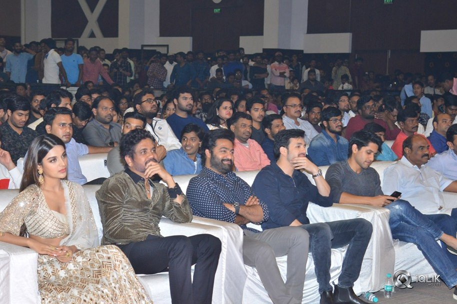 Mr-Majnu-Movie-Pre-Release-Event-Photos